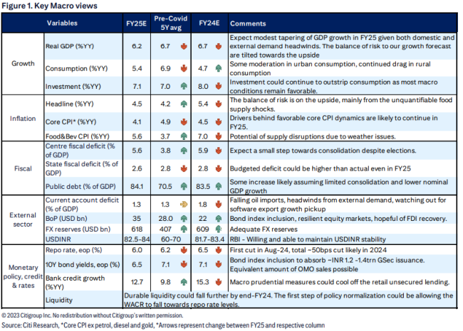 花旗:印度股市“疯狂”或将持续 选举迷雾中闪耀