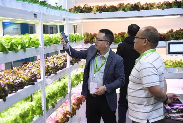 农业强国家强_农业加强什么为着力点_为加快建设农业强国而努力奋斗