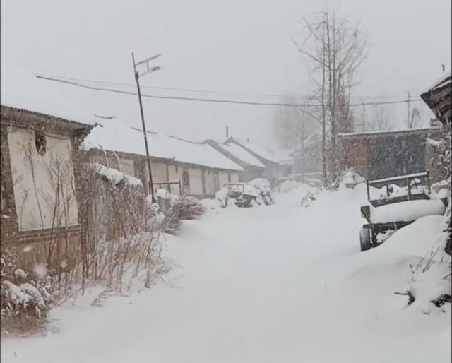 烟台威海遭遇极端性冷流暴雪 “雪窝”烟台冷流雪还在继续！