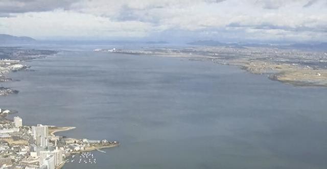 日本最大湖泊大量水鸟死亡 琵琶湖水鸟惨遭“毒手”