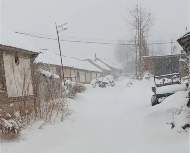 烟台暴雪成因_烟台威海遭遇极端性冷流暴雪_威海烟台大雪
