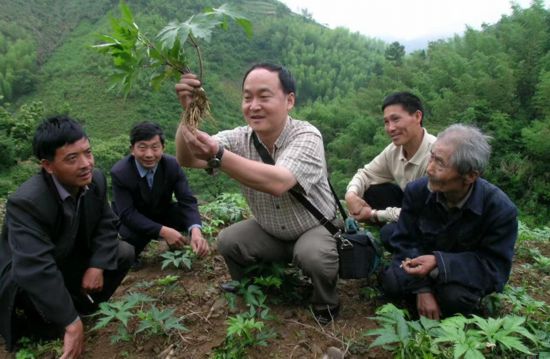 农民关键收入增加是什么原因_农民关键收入增加是什么意思_增加农民收入是关键