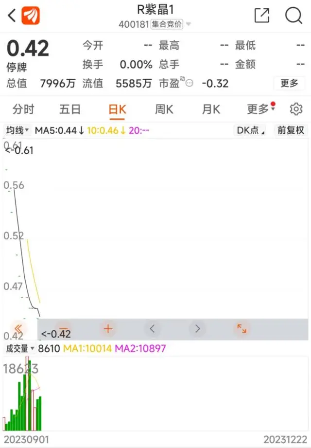科创板股票的发行监管制度_科创板市场发行条件_科创板第一单欺诈发行实控人被批捕