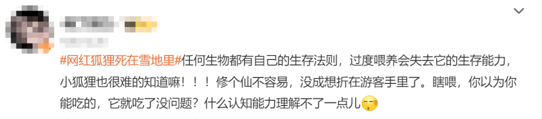 雪地里狐狸的故事_狐狸雪地动图_网红狐狸死在雪地里