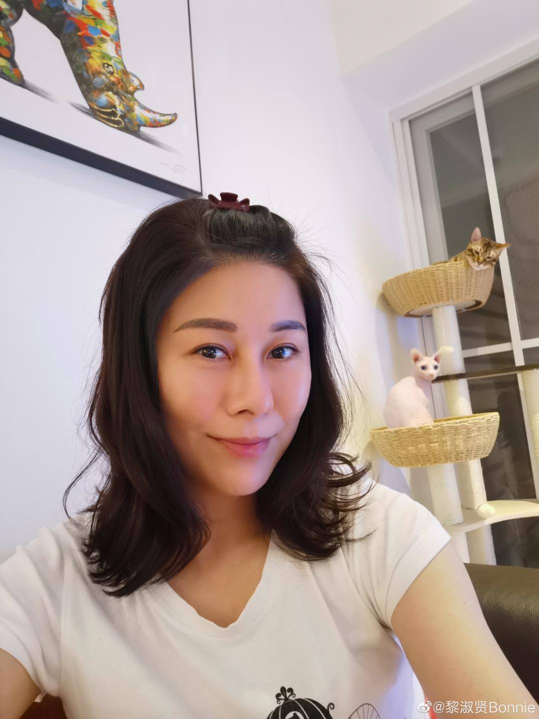 亚洲小姐总决赛冠军_亚洲小姐网络赛冠军_前亚洲小姐亚军黎淑贤在家中身亡