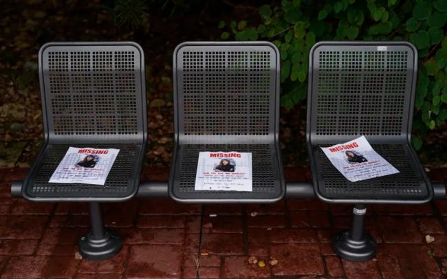 特朗普新年“全家福”缺了夫人引发外界关注揣测