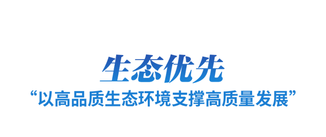 牢牢把握首要任务_首要把握任务的重要性_首要把握任务的成语