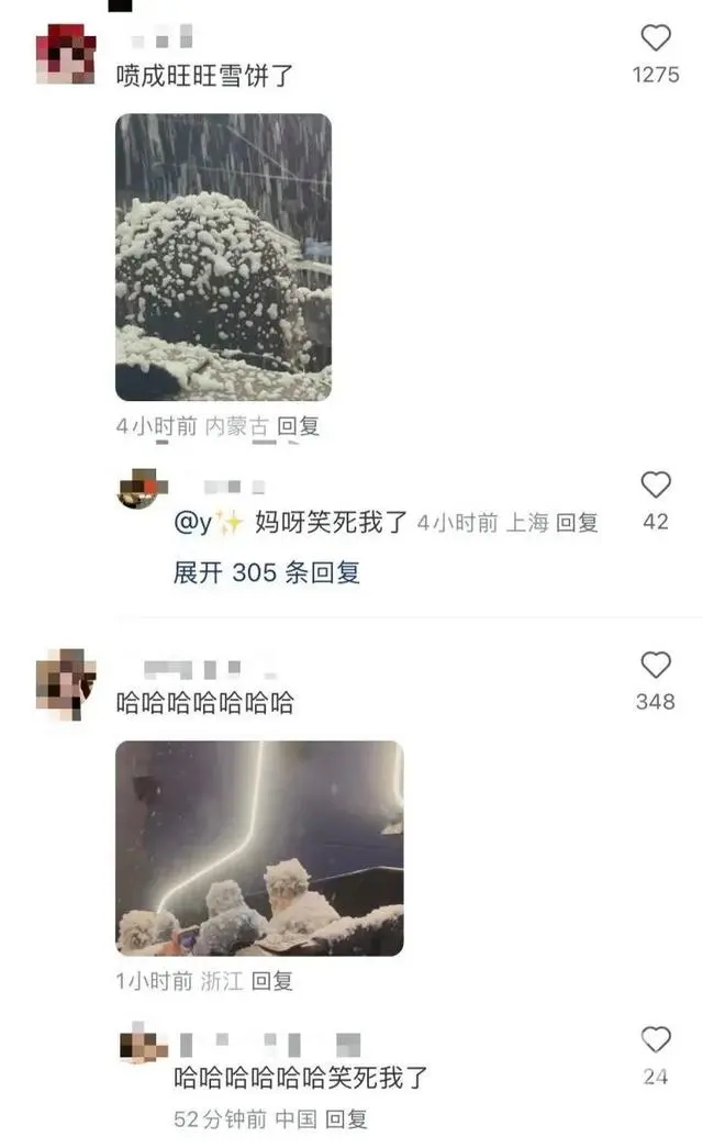 张万森 局部暴雪了_暴雪局部张万森是哪一集_张万森 局部暴雪了