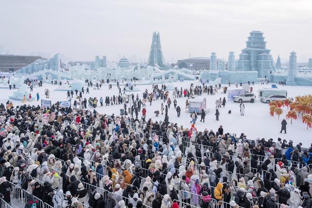 哈尔滨雪地里有骆驼了！冻梨摆盘、热气球上阵，哈尔滨“掏家底”宠游客