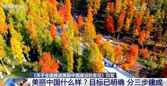 建设美丽中国讲课视频_美丽中国建设手抄报_美丽中国什么样？怎么建？