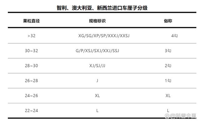 价格差5倍 樱桃和车厘子有什么区别_樱桃和车厘子价格_樱桃与车厘子价格