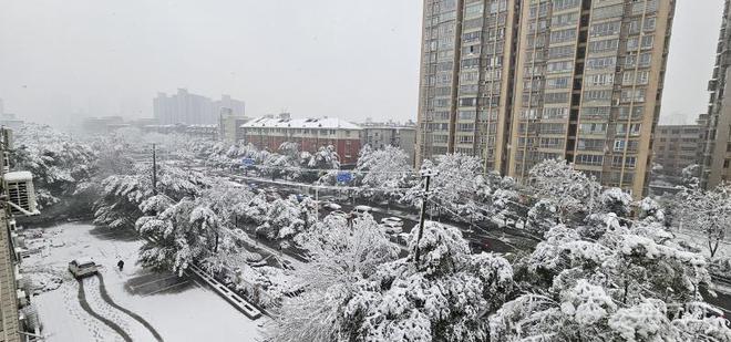 长沙一夜成雪国（记者 张志诚摄）