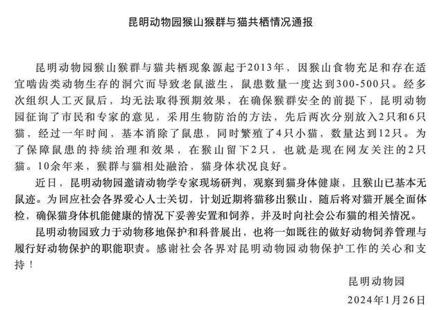 云南省昆明市动物园_昆明动物园动物_昆明动物园：计划近期将猫移出猴山