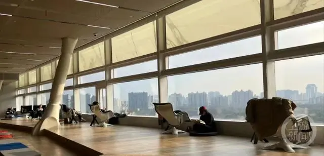 上海数字图书馆官网_上海图书馆数字图书馆_上海图书馆东馆一把躺椅数万元？