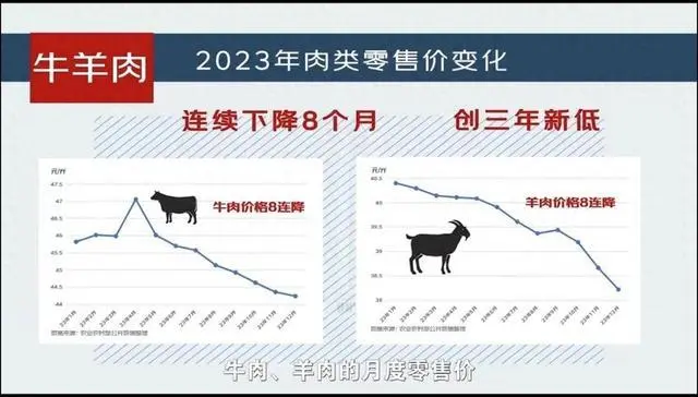 牛肉这几年的价格_牛肉价格创近三年新低_牛肉最近几年价格走势