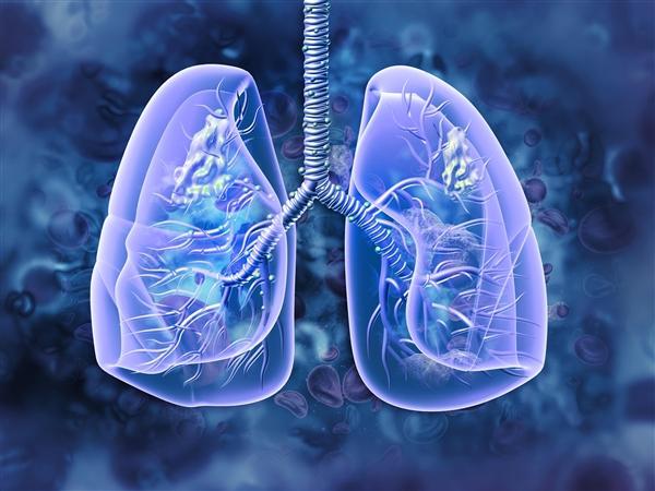 肺癌成为全球新增病例数最多癌症_全球癌症增长率_肺癌新增人数