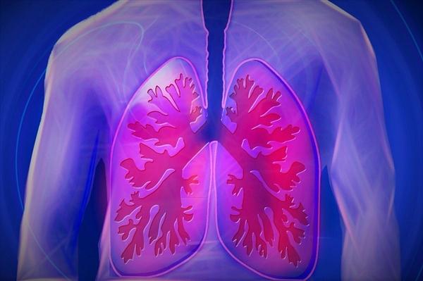 肺癌成为全球新增病例数最多癌症_肺癌新增人数_全球癌症增长率