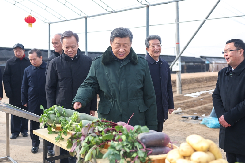 习近平在天津古文化街考察_习近平在天津古文化街考察_习近平在天津古文化街考察