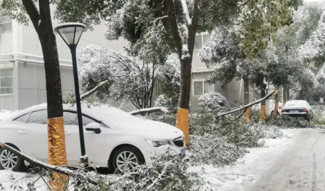 自驾回乡遇大雪 有私家车被临时抛弃