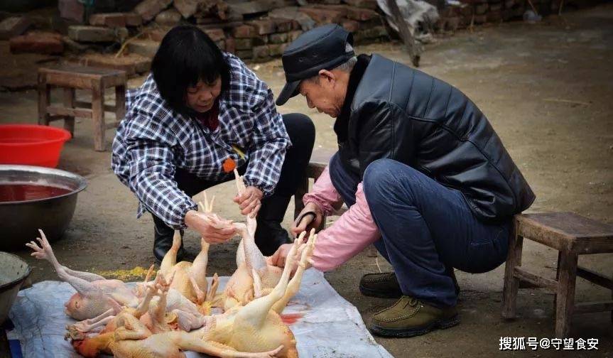 腊月二十七，宰鸡赶大集_农村腊月赶大集图片_腊月鸡上架是什么时辰