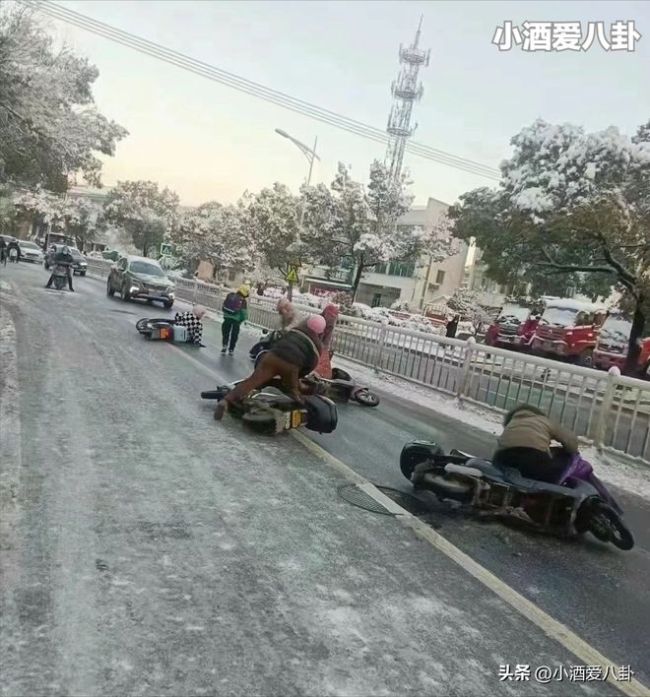 湖北人上班像丛林探险 一路上穿越了整个神农架