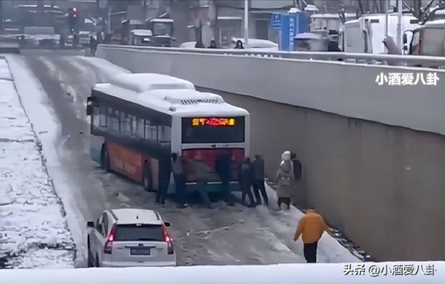 湖北人上班像丛林探险 一路上穿越了整个神农架