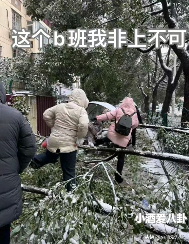 湖北人上班像丛林探险 一路上穿越了整个神农架