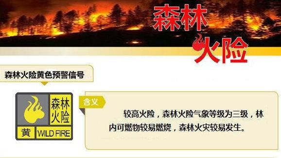 广州各区森林火险黄色预警信号生效中