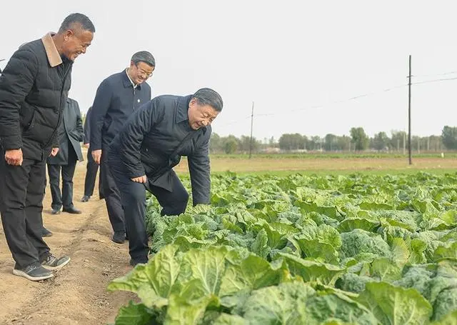 风调雨顺国泰民安是什么经_风调雨顺、国泰民安_风调雨顺国泰民安下联横批