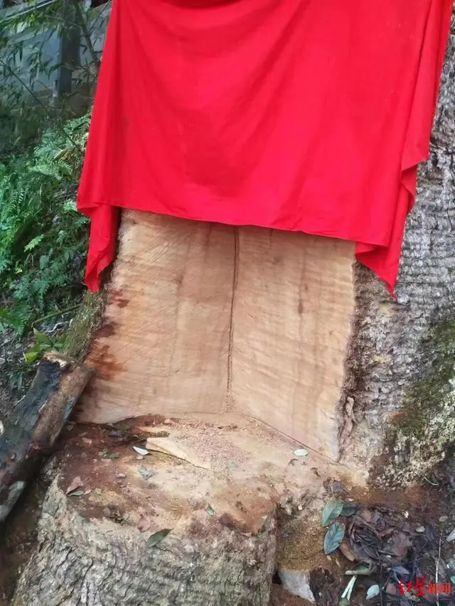 风调雨顺国泰民安下联横批_国泰民安风调雨顺_风调雨顺、国泰民安