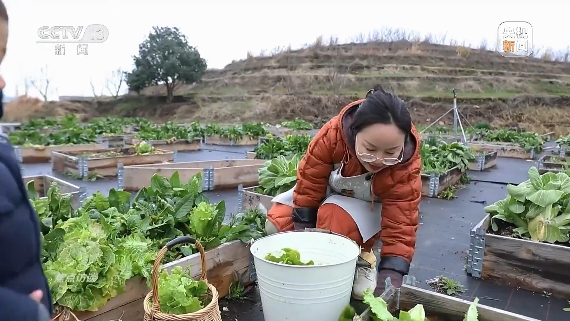 人财两旺心气顺_财旺气旺_人财两旺顺心意对联