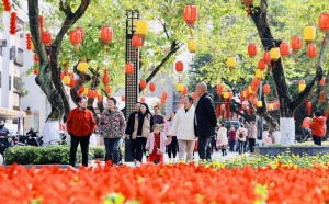 春节好天气！广西阳光上线，气温直奔“2”字头