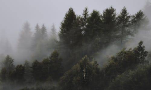 贵州一男子野外烤糍粑引发山火