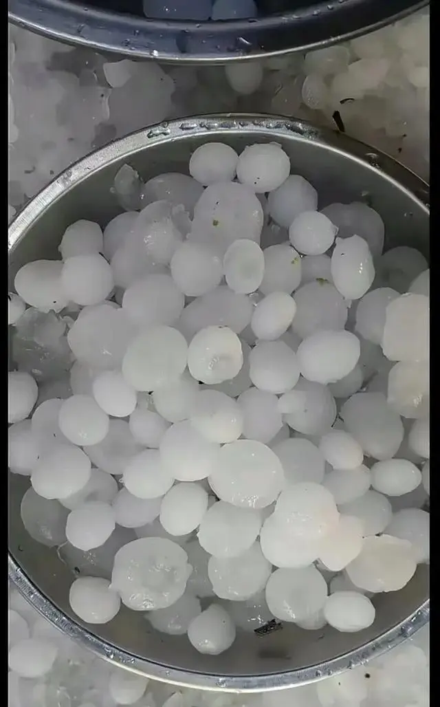 鸡蛋冰雹视频_鸡蛋冰雹q恐怖片_浙江多地遭遇罕见“鸡蛋大”冰雹