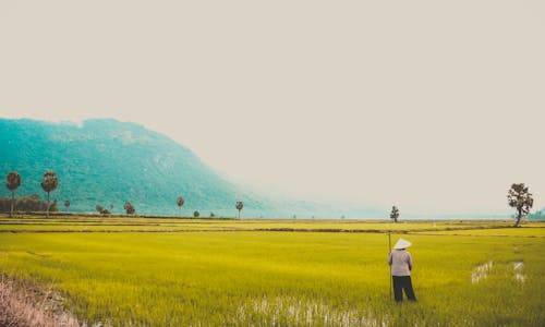 律师曝光揭阳一村书记宅基地近7亩_揭阳书记论坛_村长大还是村书记大