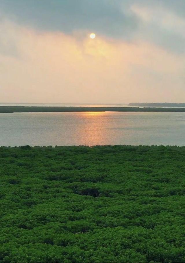 带你看中国的绿色奇迹_绿色奇迹海报_绿色奇迹讲解