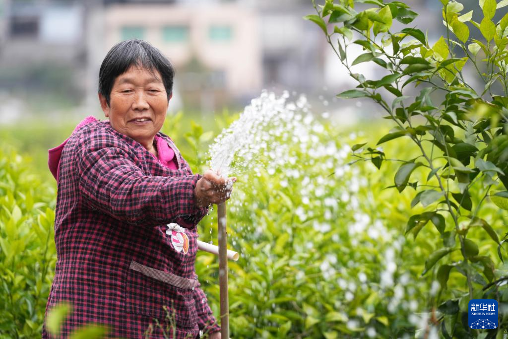 春分将至农事忙_春分时节农耕忙_到了春分忙备耕