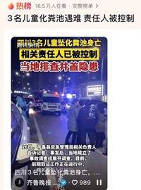 3名儿童坠化粪池身亡 责任人被控制