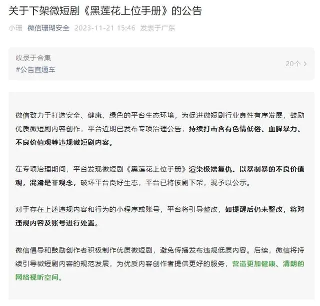 什么收入群体比例明显提高_收入群体显著扩大_70%短剧用户是中低收入群体