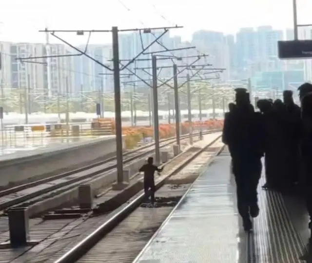 杭州高铁站乘客掉入轨道_杭州站男子掉入轨道_杭州东站一男子闯入动车轨道奔跑