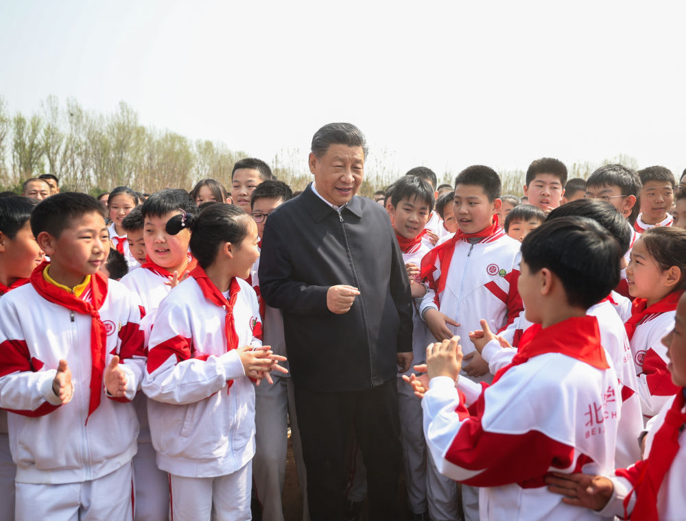 植树共建美好家园_全民植树增绿 共建美丽中国_全民植树绿化家园心得体会