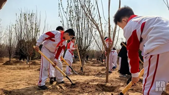 建设绿色美丽中国_为建设美丽中国增绿添彩_为建设美丽中国增绿添彩