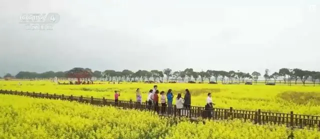 “春日经济”热力十足_“春日经济”热力十足_“春日经济”热力十足