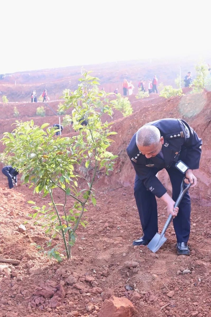 植绿青山_张植绿春天后母心_“植”此青绿