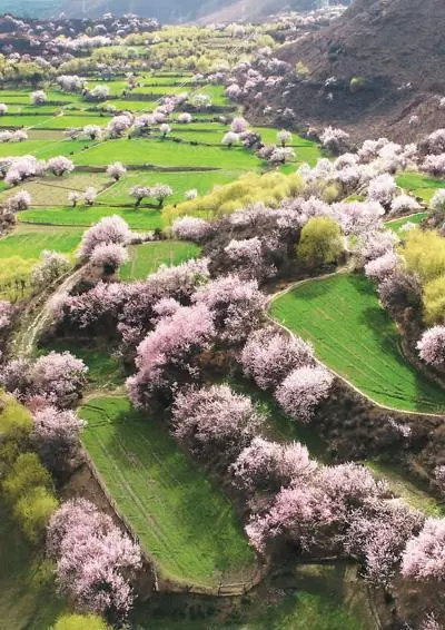 保护地球生态文明_切实保护好地球第三极生态_地球生态环境保护