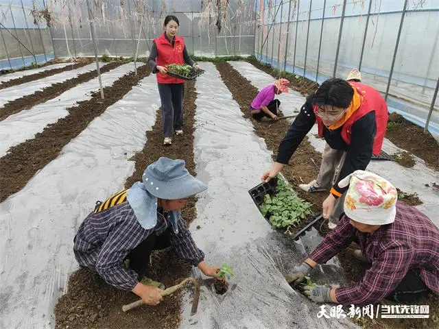 各地按下春耕备耕“农忙”键_农民春耕备耕忙_邮储银行春耕备耕工作总结