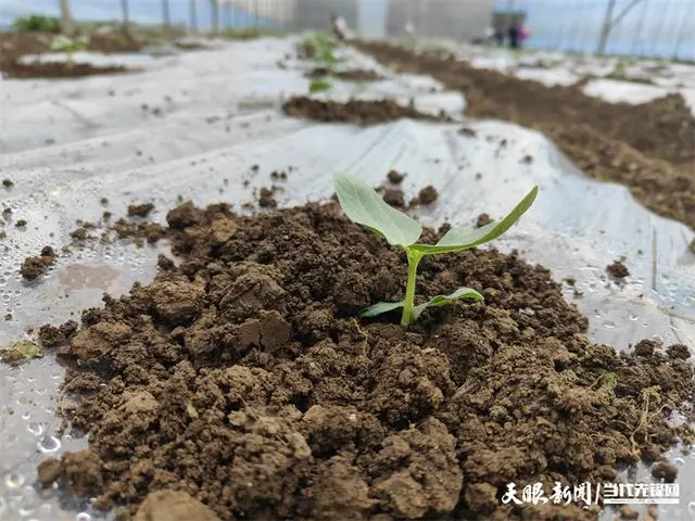 邮储银行春耕备耕工作总结_农民春耕备耕忙_各地按下春耕备耕“农忙”键