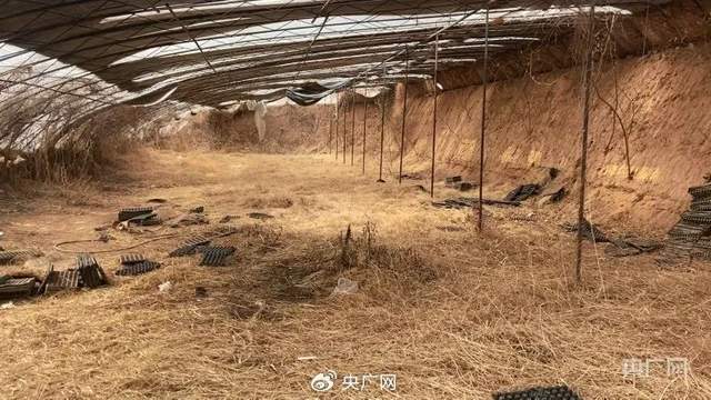 检方通报邯郸初中生被害案_邯郸命案2021_邯郸市凶杀案情杀6月21日