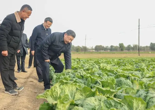 习近平总书记田间地头话农事_习近平总书记田间地头话农事_习近平总书记田间地头话农事