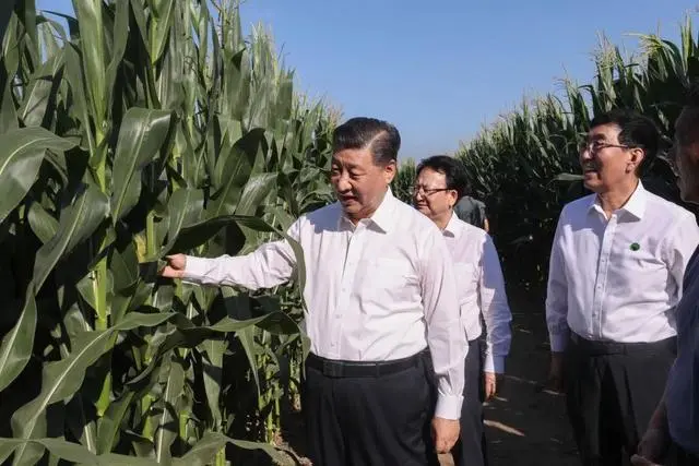 习近平总书记田间地头话农事_习近平总书记田间地头话农事_习近平总书记田间地头话农事